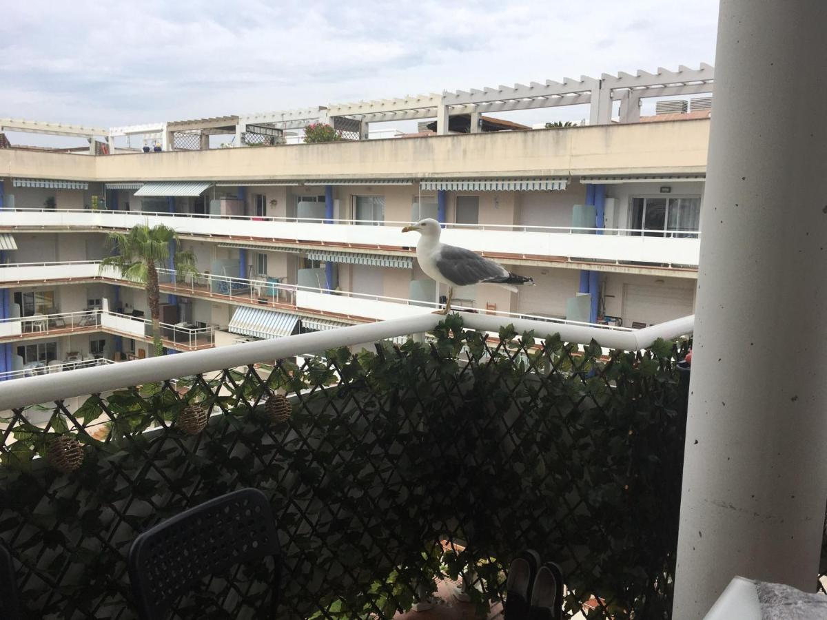 Superbe Appartement Avec Solarium Et Piscine Communautaire Roses Eksteriør bilde